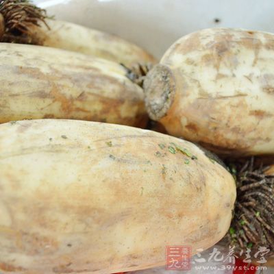 1看1嘗1聞辨別蓮藕 1看1嘗1聞辨別蓮藕