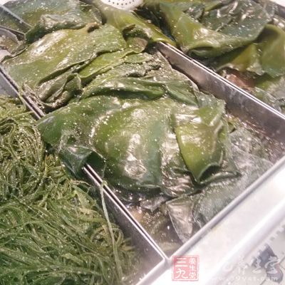 1看1聞辨別海帶 1看1聞辨別海帶