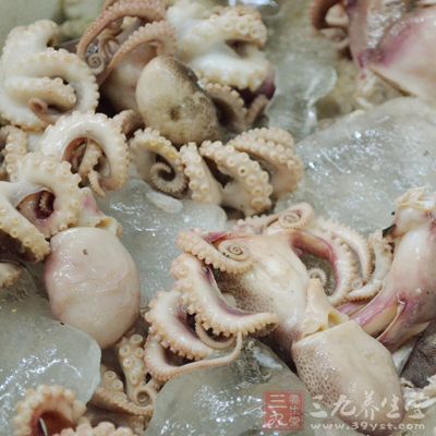 鱿魚的膽固醇含量特別高