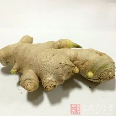 生姜吃多了對於身體傷害極大
