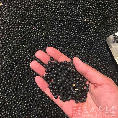 癫痫病的飲食要多進食豆類、谷類食物 癫痫病的飲食要多進食豆類、谷類食物