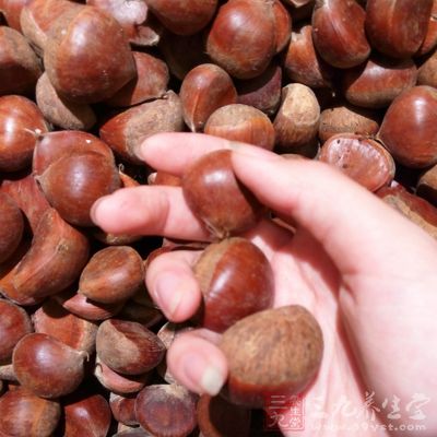 板栗本身就是比較堅實的食物 板栗本身就是比較堅實的食物