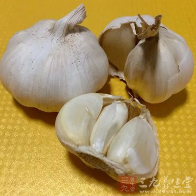 大蒜是我們的日常餐桌上常見的調味品 大蒜是我們的日常餐桌上常見的調味品