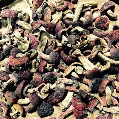 大部分的菇類都屬含普林食材 大部分的菇類都屬含普林食材