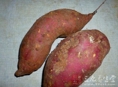 吃紅薯是不會使人發胖的