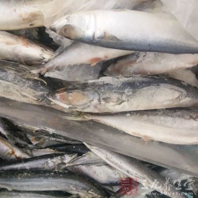 海鮮中的毒素一般都是重金屬較多
