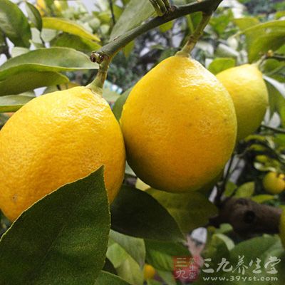 不適宜吃檸檬、山楂、楊梅、青梅、李子等酸含量較高的水果 7960243_200032658144_2