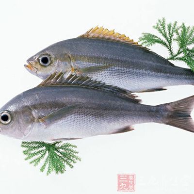 蘊含豐富蛋白質的食物比如魚