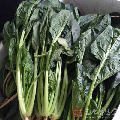 菠菜的鐵元素其實不能夠被人體吸收