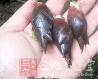 故早上吃姜對身體的好處多