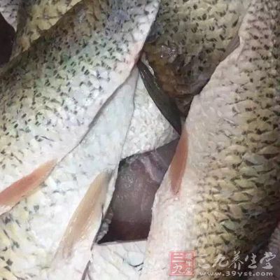 魚肉跟豆腐搭配會更好