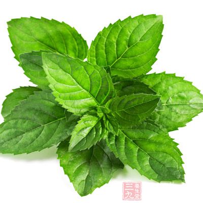 最後加入鮮薄荷，立即關火。(如果用干薄荷，再煮5分鐘)