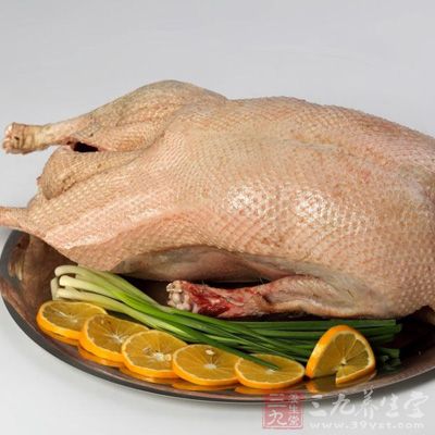 應選擇表皮干燥，呈白色或淡黃色並帶淺紅色的鵝肉