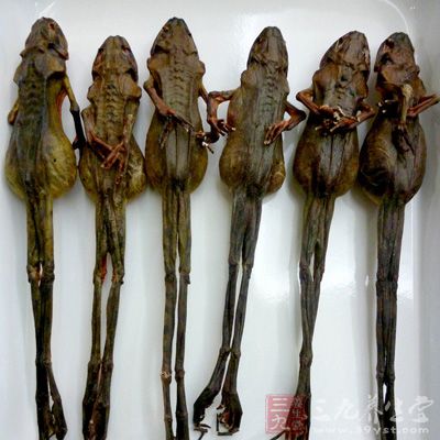 內分泌失調的人食用雪蛤油後可能會引起月經失調