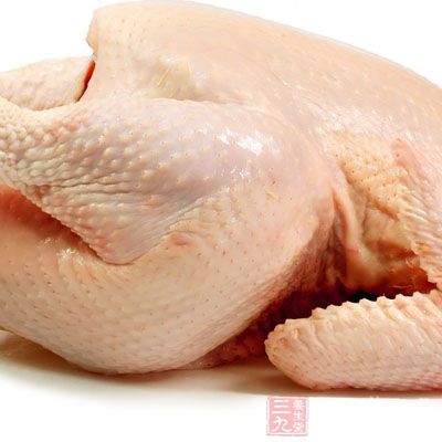 雞肉的營養價值為人所熟知