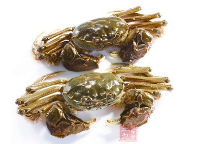 河蟹死後蟹體內的細菌會迅速繁殖並擴散到蟹肉中