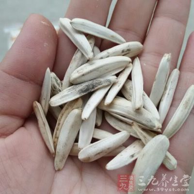 白色外殼的瓜子外表越是光滑漂亮，可能是經過拋光而成