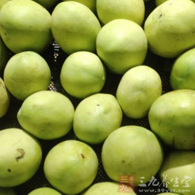 芒果對咳嗽、痰多、氣喘等症有輔助治療作用