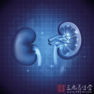 腎炎患者不能使用其它任何藥物 腎炎患者不能使用其它任何藥物