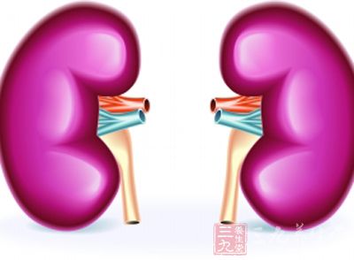 腎髒的生理功能主要是排洩代謝產物 腎髒的生理功能主要是排洩代謝產物