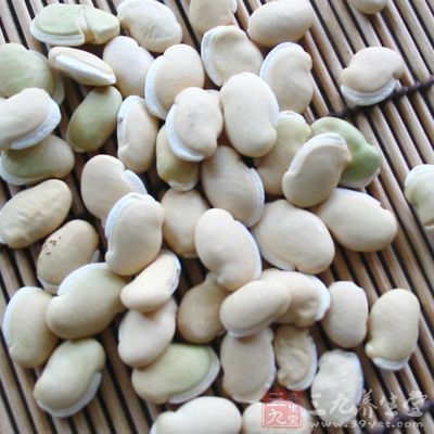 扁豆的營養成分相當豐富 扁豆的營養成分相當豐富