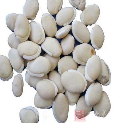 白扁豆的禁忌 白扁豆的禁忌