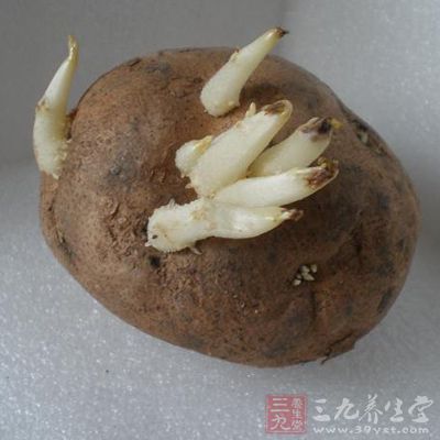 土豆長了幾個芽就應當毫不猶豫地扔掉 土豆長了幾個芽就應當毫不猶豫地扔掉
