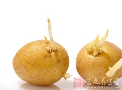 發芽的土豆能吃嗎