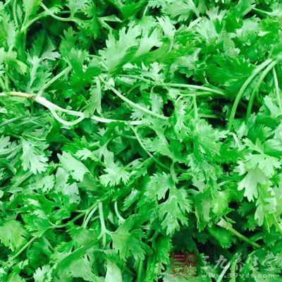 香菜吃多了會對腎髒造成傷害