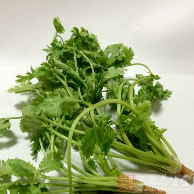 而香菜中的胡蘿卜素可以起到保護身體免疫系統的作用