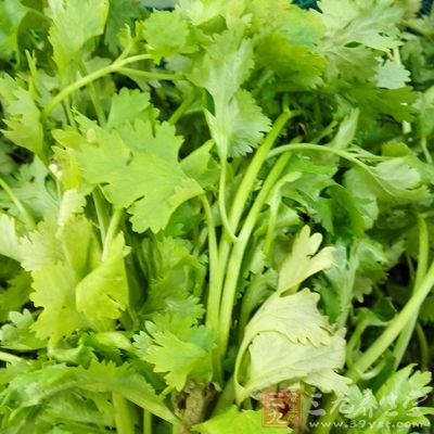 香菜是很好的調味品，可以刺激人的食欲