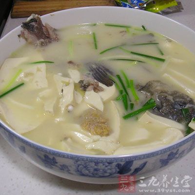 豆腐鲫魚湯