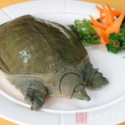 甲魚性味鹹寒
