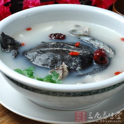 甲魚性味鹹寒
