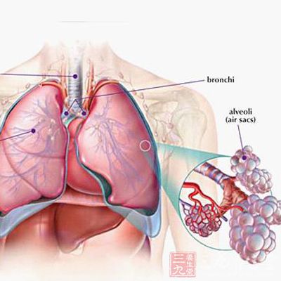 肺癌是常見的惡性腫瘤