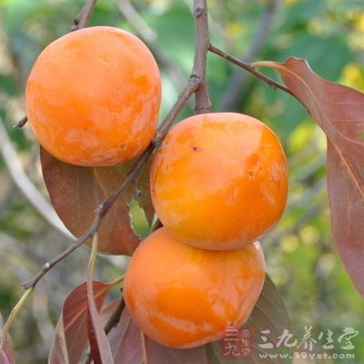 柿子、西紅柿 柿子、西紅柿