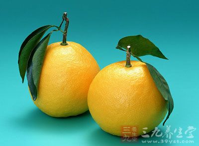 柚子性寒，食之過多則傷陽氣，身體陽虛