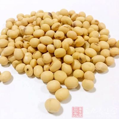 豆類富含蛋白質，所以具有很高的營養價值