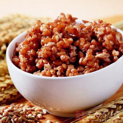 多食谷類、小麥、大麥、燕麥、玉米 多食谷類、小麥、大麥、燕麥、玉米