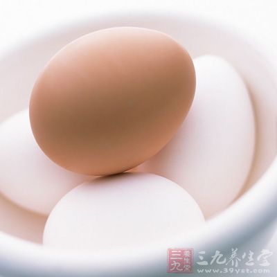 要適當補充含優質蛋白質的食物 要適當補充含優質蛋白質的食物