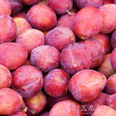 李子具有清肝熱、生津、利尿之功效