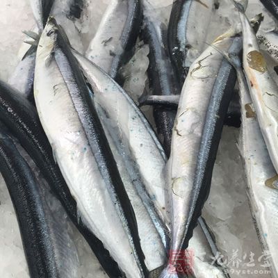 魚身上除了魚鱗、魚膽、魚鰓等不能食用