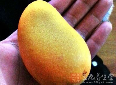 作為熱帶水果的芒果，色澤金黃誘人