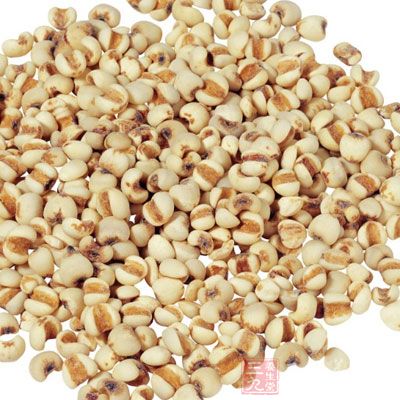 薏米性味甘淡微寒,含有維生素B1和多種氨基酸 薏米性味甘淡微寒,含有維生素B1和多種氨基酸