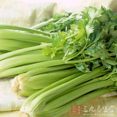 芹菜,又稱“藥芹”。 芹菜,又稱“藥芹”。