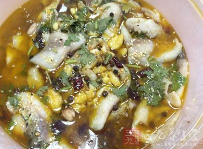 魚類的營養成分以及食用