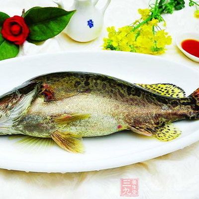 鳜魚數百年來獨占“春令時鮮”的榜首 鳜魚數百年來獨占“春令時鮮”的榜首