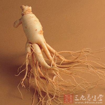 雖然人參對身體的進補效果很好，然則也一定要留意它的吃法