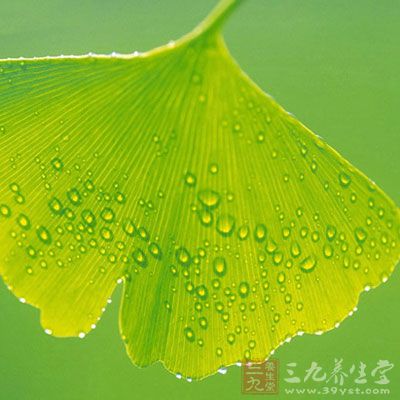 銀杏葉確實具有一定的保護心髒的作用