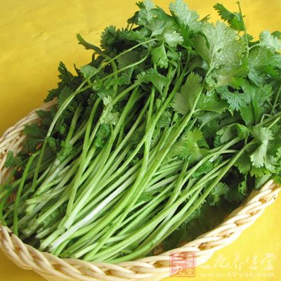 感冒了千萬不能吃香菜 感冒了千萬不能吃香菜